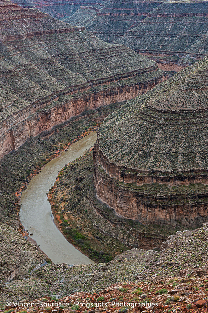 Gooseneck SP