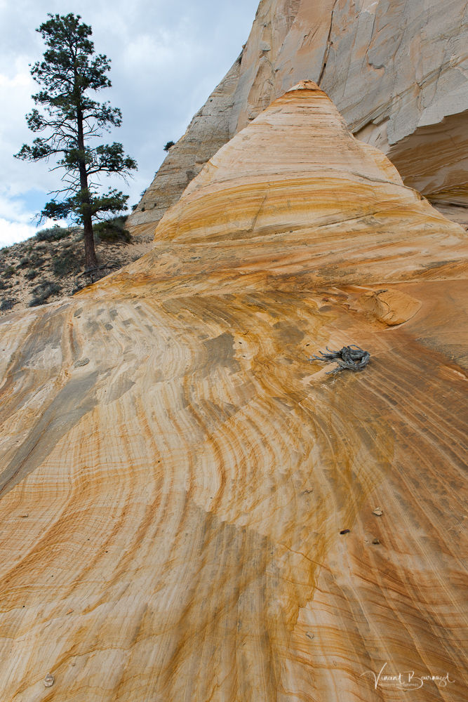 Johnson Canyon