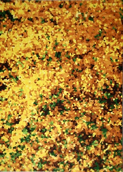 Study for Forsythia - OC - 20.5 x 19