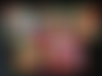 Friday Flips #10: The Wolf (Review and Giveaway!)