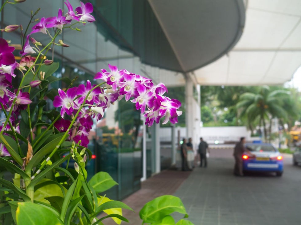 Changi Village Staycation (2 of 20)