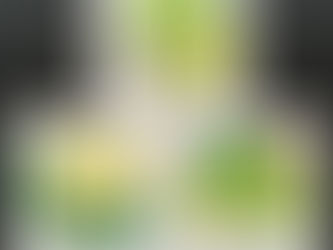 Homeschooling Playgroup #4