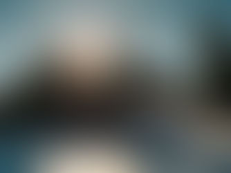 Mountain with snow and pine trees