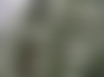 December Monthly Rhythms: Nurturing Wellness, Herbs & Seasonal Self-Care