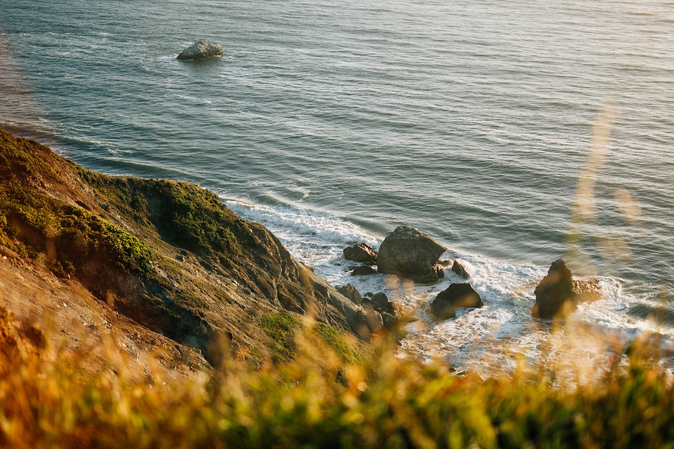 Grassy coastal cliff at golden hour