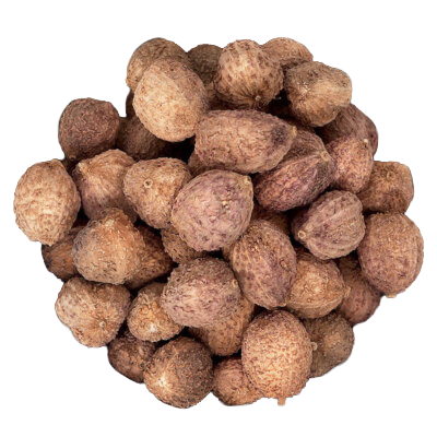 Amomum sand (Balansha seed)s