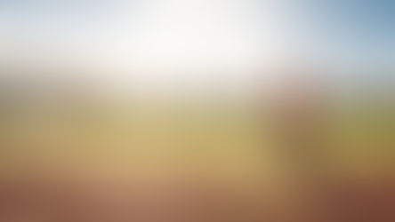 Data collection has started!