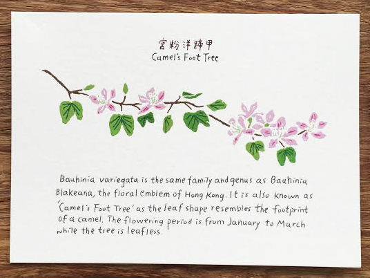 Thumbnail: Hong Kong Flowers postcard