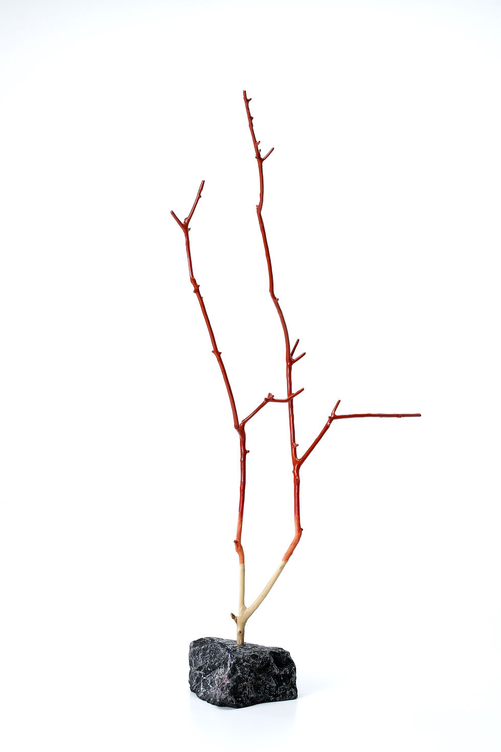 ree