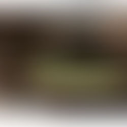 Discover crafts : Tea 發現工藝 : 茶