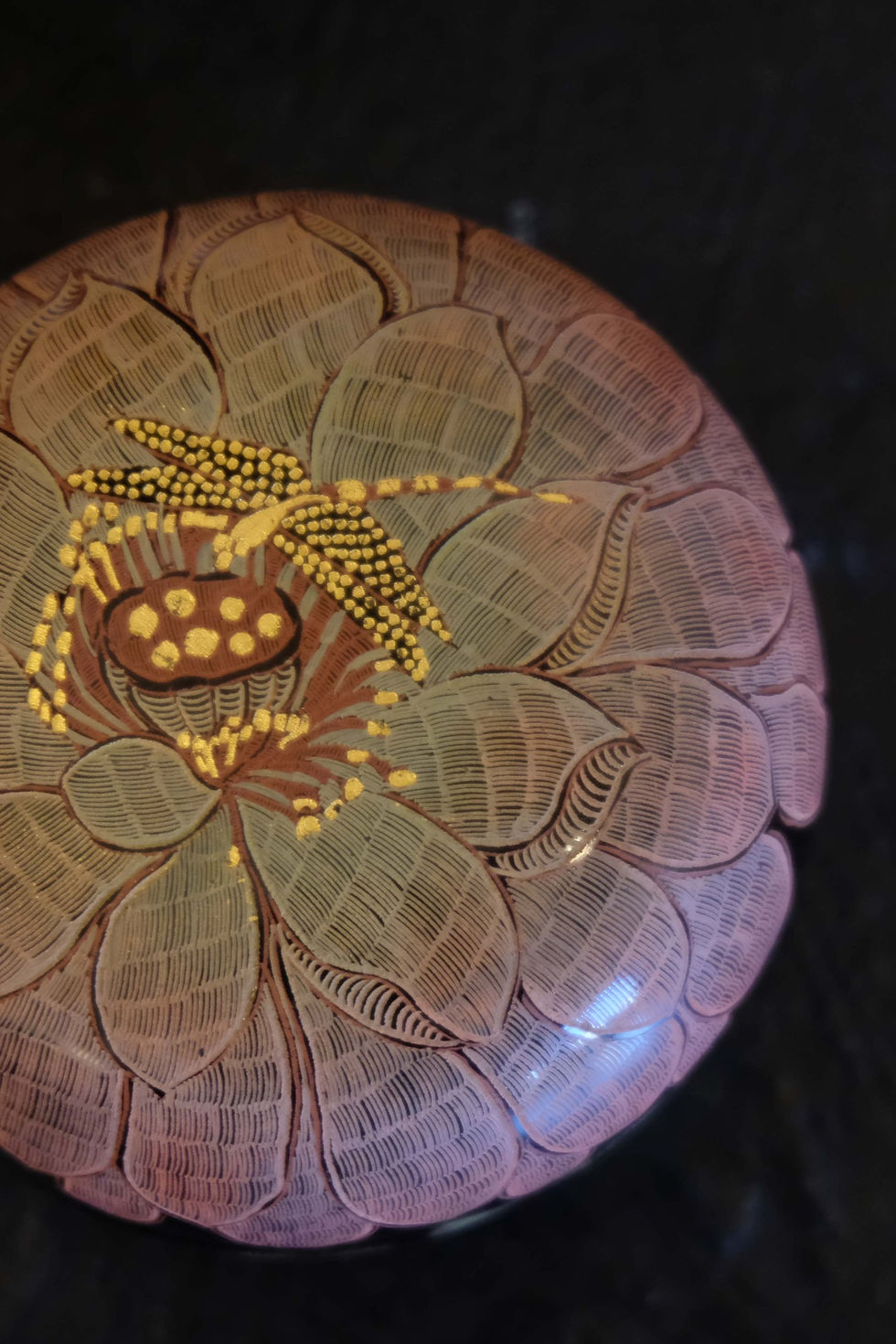 Thumbnail: A Dragonfly in Water Lily Pond circular box