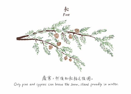 SOIL-Hong-Kong-Local-WIld-Flower-Postcard