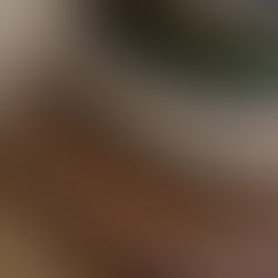 Lacquerware Design Experiments