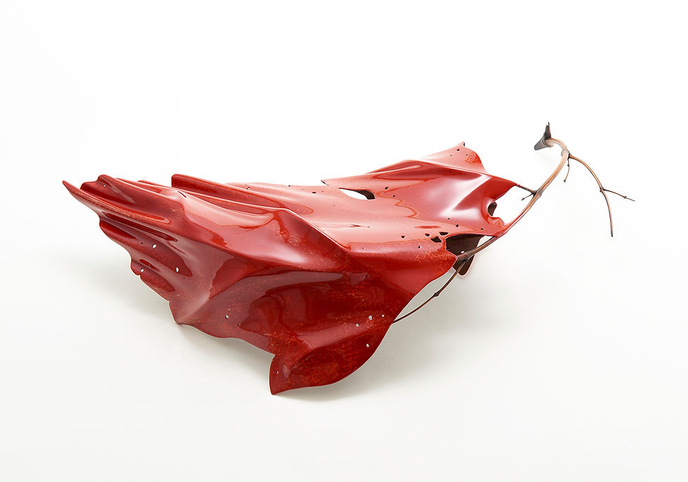 Thumbnail: Wing of Foliage