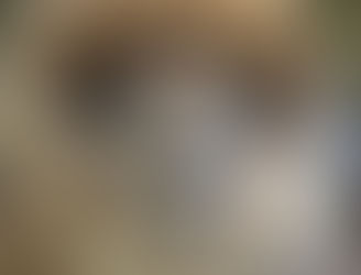 Знакомство с видами пряжи . Альпака