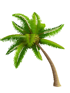 palme-animation-monkeyheros-affenhelden.gif