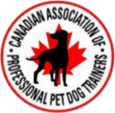 The Original Dog House - Structured Daycare, Behavior Rehabilitation, Boarding, Obedience Training, Grooming