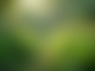 The Importance of Sustainable Living in Today's World