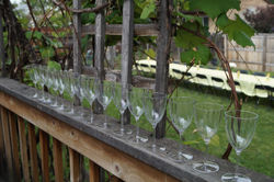 Rehearsal dinner Decor