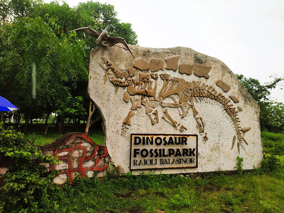 Dinosaur Fossil Park, Raioli
