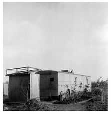 Dachas (Summer houses)