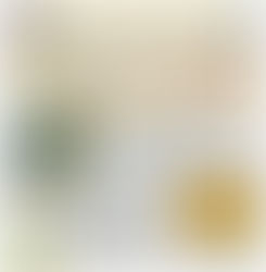 ウエノ薬局ほっと通信 Vol.31 2013年1月号