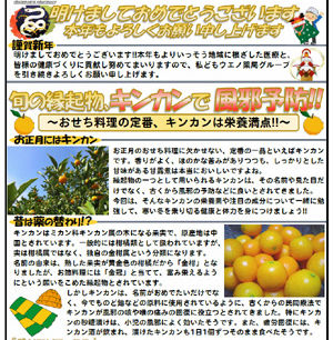 ウエノ薬局ほっと通信 Vol.31 2013年1月号