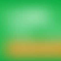 LINE公式アカウント開設のお知らせ