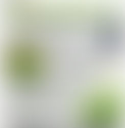 ウエノ薬局ほっと通信 Vol.27 2012年9月号