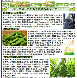 ウエノ薬局ほっと通信 Vol.27 2012年9月号