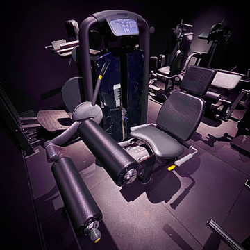 SEATED LEG CURL