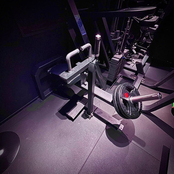 SEATED CALF RAISE