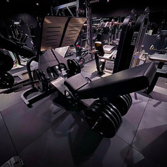 LEG PRESS