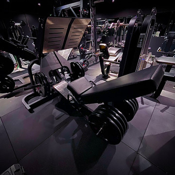 LEG PRESS