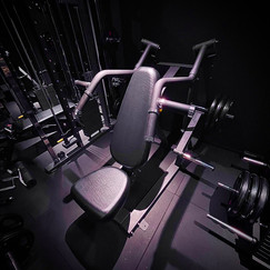INCLINE CHEST PRESS