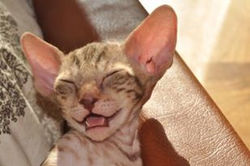 25438_366231262573_4592609_n