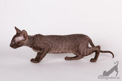 542077_10151002589817574_1835799066_n