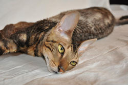 425526_10150917802132574_1299616278_n