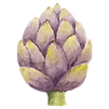 artichaut