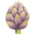 Alcachofra