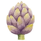 Artichoke