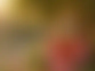 சில இந்து மரபுகளில் சிவபெருமான் மற்றும் பார்வதி தேவியின் குறைவாக அறியப்பட்ட தெய்வீக மகளாகக் குறிப்பிடப்படும் அசோகசுந்தரி, கல்பவிருக்ஷம், அழகு, துணை மற்றும் துயரத்தை நீக்குதல் ஆகியவற்றுடன் தொடர்புடையவர்.