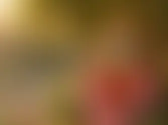 சில இந்து மரபுகளில் சிவபெருமான் மற்றும் பார்வதி தேவியின் குறைவாக அறியப்பட்ட தெய்வீக மகளாகக் குறிப்பிடப்படும் அசோகசுந்தரி, கல்பவிருக்ஷம், அழகு, துணை மற்றும் துயரத்தை நீக்குதல் ஆகியவற்றுடன் தொடர்புடையவர்.