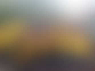 Championnat des Bouches du Rhône - Jeunes