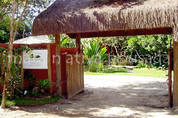 Pousada Mata Nativa