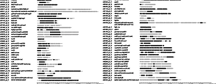 Trees Fungi Bacteria Metatranscriptomics Microbiome Soil Contamination