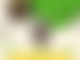 Mental Health Workshop