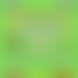 Spring Family Potluck, April 11