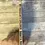 Thumbnail: Methuselah's Children
