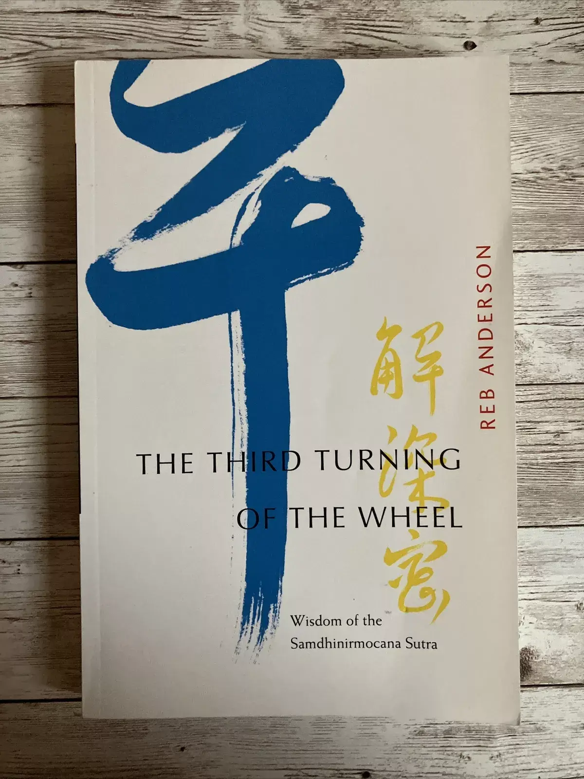 The Third Turning of the Wheel: Wisdom of the Samdhinirmocana Sutra